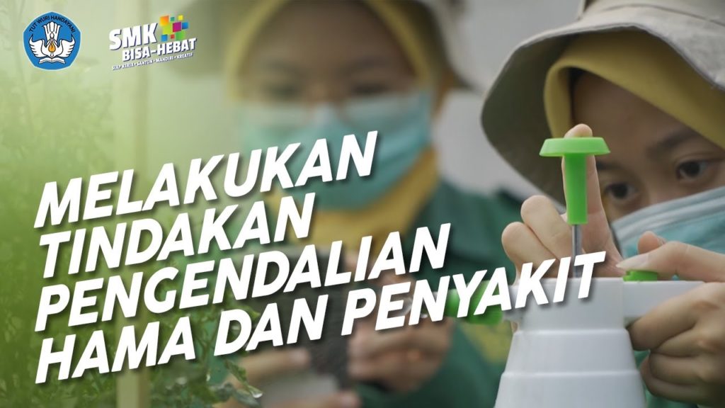 Melakukan Tindakan Pengendalian Hama Dan Penyakit Agribisnis Tanaman